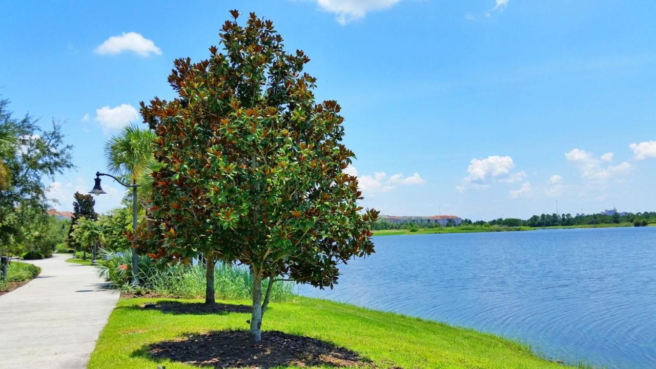 Cozy Townhome In Vista Cay Resort W Garage كيسيمي المظهر الخارجي الصورة